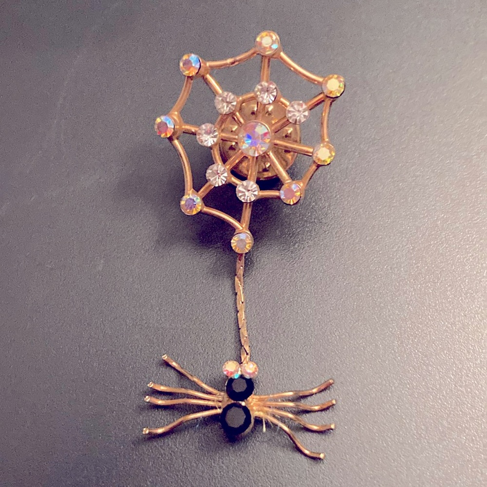 Spider 🕷️ Web Brooch